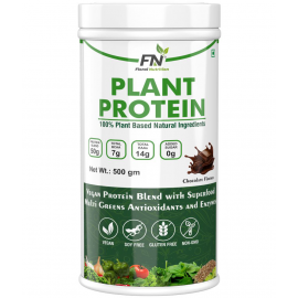 Floral Nutrition Plant Based Protein Powder 500 gm