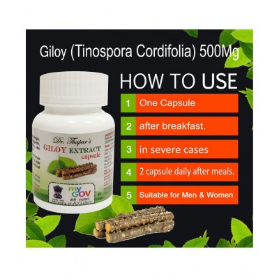 GADUCHI /AMRITA/GILOY (Tinosporia Cordifolia) 60 Capsule 500 mg