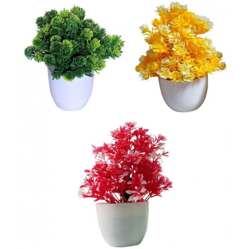 GEET FLOWER Assorted Assorted Flowers With Pot - Pack of 3