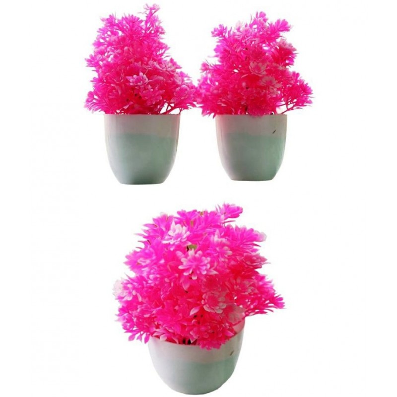 GEET FLOWER Assorted Pink Flowers With Pot - Pack of 3