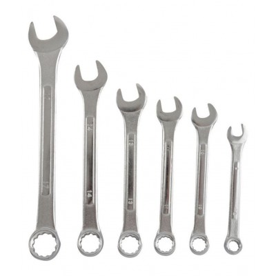 GLOBUS  Combination Raised Spanner Set (Silver, Pack of 6, GT-1005-SCR6)