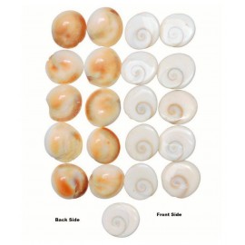 GOMATI CHAKRA 11 PIECES