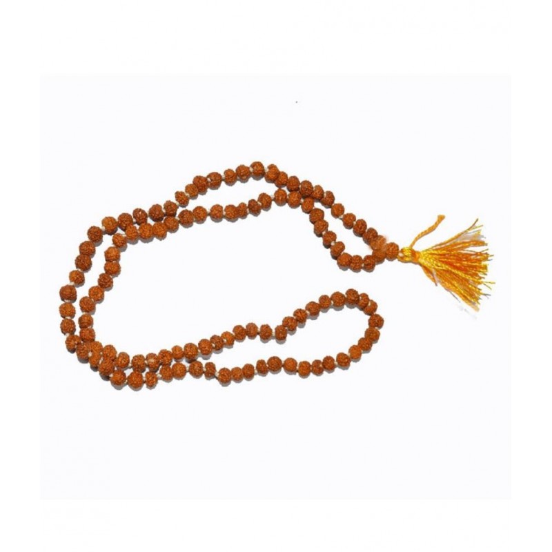 GURUMAA Rudraksha Pack of 1