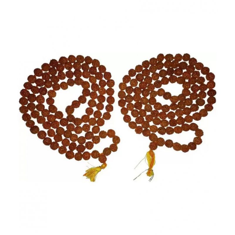 GURUMAA Rudraksha Pack of 2