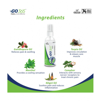 Go365 Pain Reliever Spray Liquid 90 ml Pack of 3 Go365 Pain Reliever Spray Liquid 90 ml Pack of 3