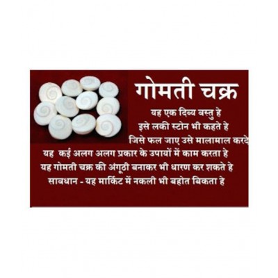 Gomati chakra (12 Piece) 100% Natural Gomti Chakra from Gomti River