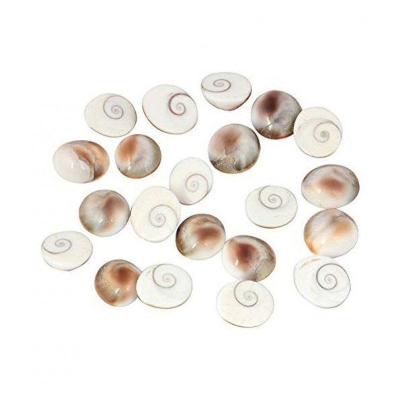 Gomati chakra (12 Piece) 100% Natural Gomti Chakra from Gomti River