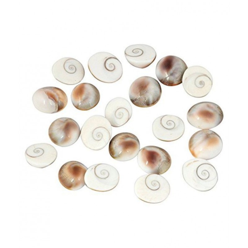 Gomati chakra original (12 Piece) 100% Natural & Real Gomti Chakra from Gomti River