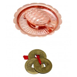 Goodluck Brown Fengshui - 1 Turtle Set And 3 Lucky Coin Set