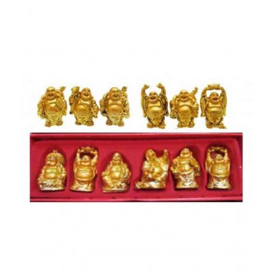 Goodluck Glossy Set Of 6 Buddha Idols And 3 Lucky Coin Set