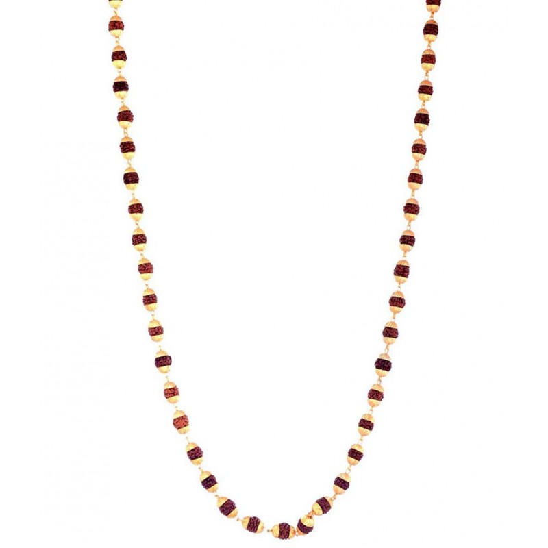 Gupta Rudraksh Collection Brown Gold Platted Rudraksh Mala (combo Of 2)