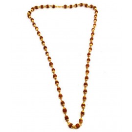 Gupta Rudraksh Collection Brown Spiritual Rudraksh Mala (combo Of 2)