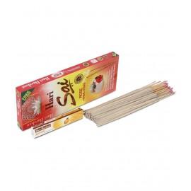HARI DARSHAN - Incense Stick ( Pack of 3 )