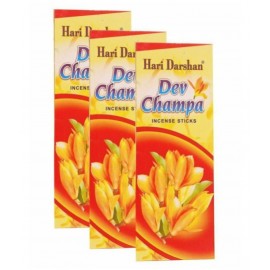 HARI DARSHAN Dev Champa Incense Stick Agarbatti (Pack of 3, 90g in Each)