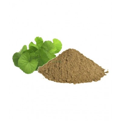 HERBWORLD BRAHMI Powder 100 gm Pack Of 1