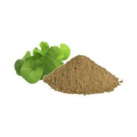 HERBWORLD BRAHMI Powder 100 gm Pack Of 1 HERBWORLD BRAHMI Powder 100 gm Pack Of 1