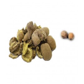 HERBWORLD Baheda / बहेड़ा / bedda nuts Raw Herbs 100 gm Pack Of 1 HERBWORLD Baheda / बहेड़ा / bedda nuts Raw Herbs 100 gm Pack Of 1