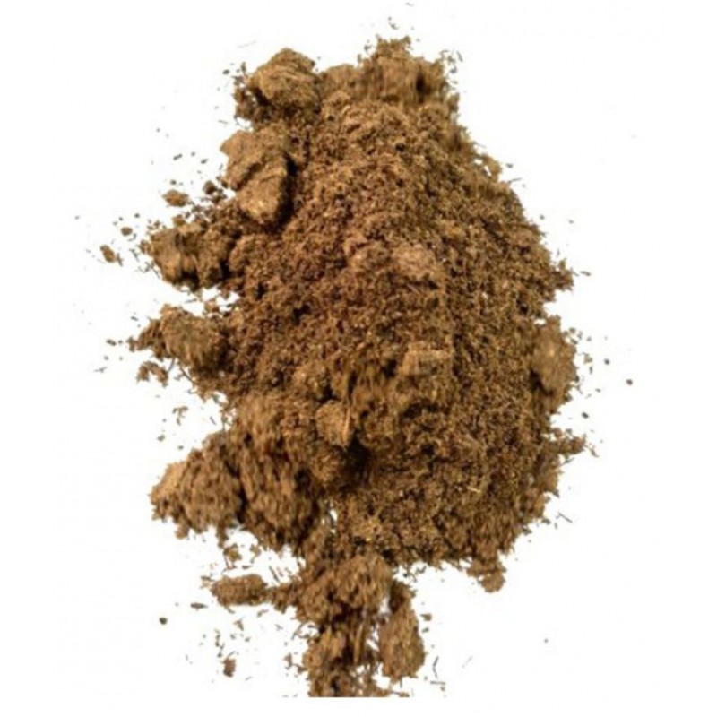 HERBWORLD KALIJIRI/KADVIJIRI/KALA JEERA Powder 100 gm Pack Of 1 HERBWORLD KALIJIRI/KADVIJIRI/KALA JEERA Powder 100 gm Pack Of 1