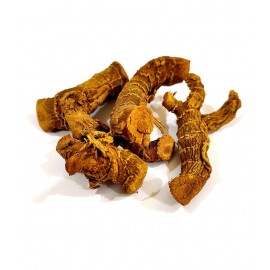 HERBWORLD Koshtha Kulinjan-कुलिनंजन-Paan Jadd 100G Raw Herbs 1 gm Pack Of 1