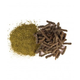 HERBWORLD PIPAR /PIPPALI CHURN Powder 100 gm Pack Of 1