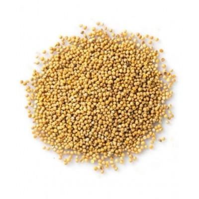 HERBWORLD Yellow Mustard Seed/Pila Sarso Raw Herbs 100 gm Pack Of 1