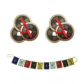 HOMETALES Combo Of Feng Shui Three Lucky Chinese 2" Coins with Red Ribbon for Money, Wealth & 2 Tibetan Buddhist Flag HOMETALES Combo Of Feng Shui Three Lucky Chinese 2" Coins with Red Ribbon for Money, Wealth & 2 Tibetan Buddhist Flag