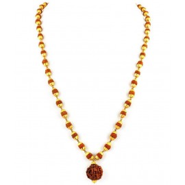 Haridwar Astro Rudraksha Pooja Mala Haridwar Astro Rudraksha Pooja Mala