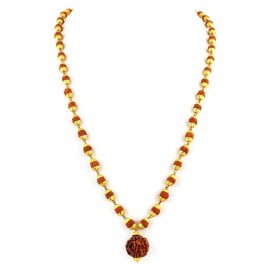 Haridwar Astro Rudraksha Wood Haridwar Astro Rudraksha Wood