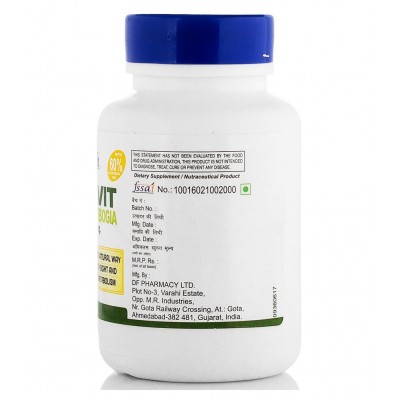 HealthVit GARCIVIT Garcinia Cambogia 65% HCA 500mg 60