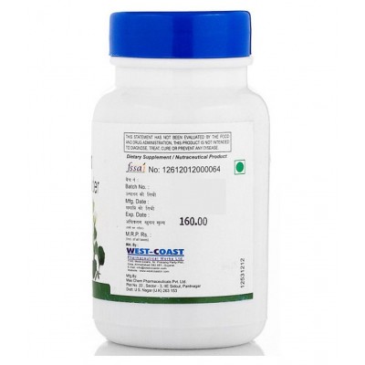 Healthvit Bramhivit Bramhi Powder 250Mg 60 Capsules