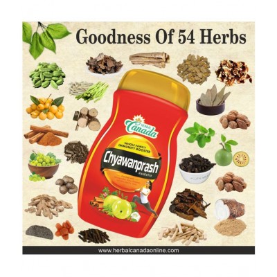 Herbal Canada Chyawanprash 500G Build Strength&Stamina Paste 500 gm Pack Of 2