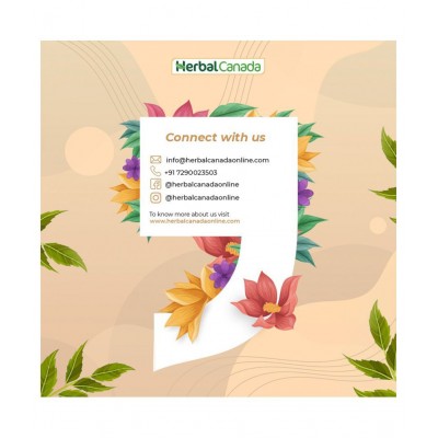 Herbal Canada Liver Care Liquid 500 ml Pack Of 2