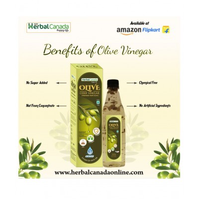 Herbal Canada Olive Vinegar Liquid 500 ml Pack Of 1