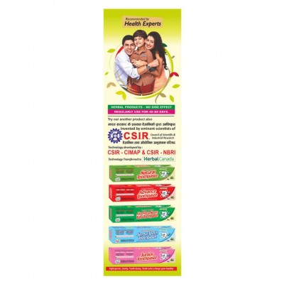 Herbal Canada Papita Swaras Liquid 500 ml