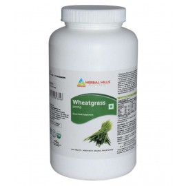 Herbal Hills Wheatgrass Super Saver Pack Tablet 500 no.s Pack Of 1