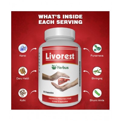 Herbus livorest | liver support Capsule 30 gm Pack Of 2