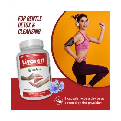 Herbus livorest | liver support Capsule 30 gm Pack Of 2