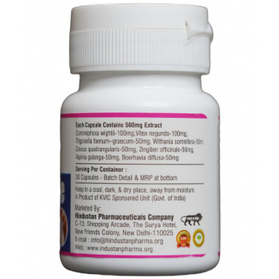 Hindustan Care & Cure Arthocure (EXTRACT BASED) Hindustan Care & Cure Arthocure (EXTRACT BASED)