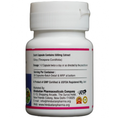 Hindustan Care & Cure Giloy (EXTRACT BASED)