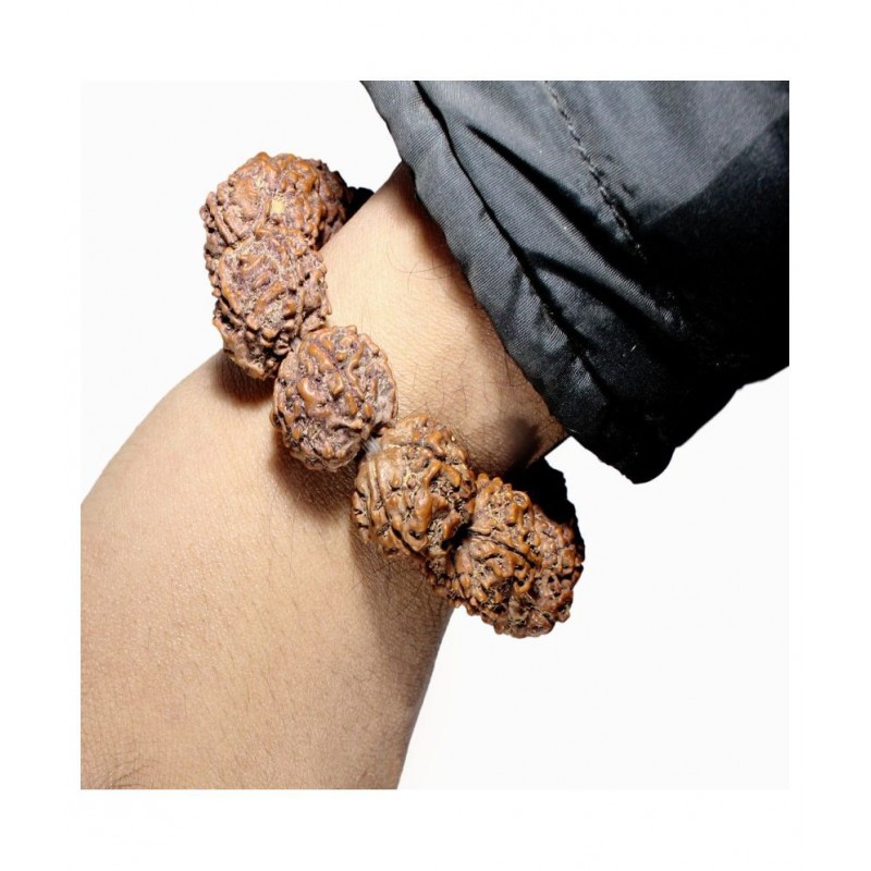 Holy Ratna 5 Mukhi Rudraksha Bracelet 5 Face Rudraksha