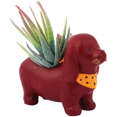 Home Artists Brown Resin Handicraft Showpiece - Pack of 1