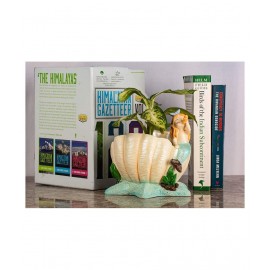 Home Artists Multicolour Resin Decorative Pots - Pack of 1