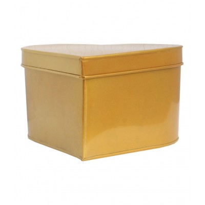 Home Sparkle Gold Iron Decorative Box - Pack of 1