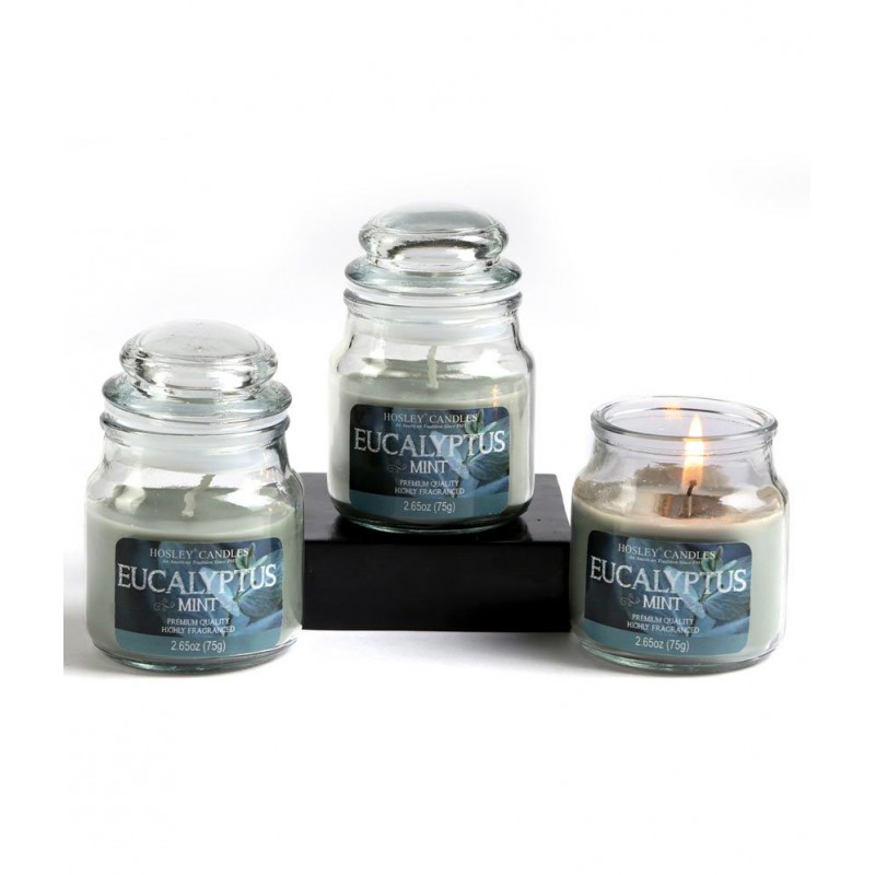 Hosley Grey Set Of 3 Eucalyptus Mint Small Jar Candles