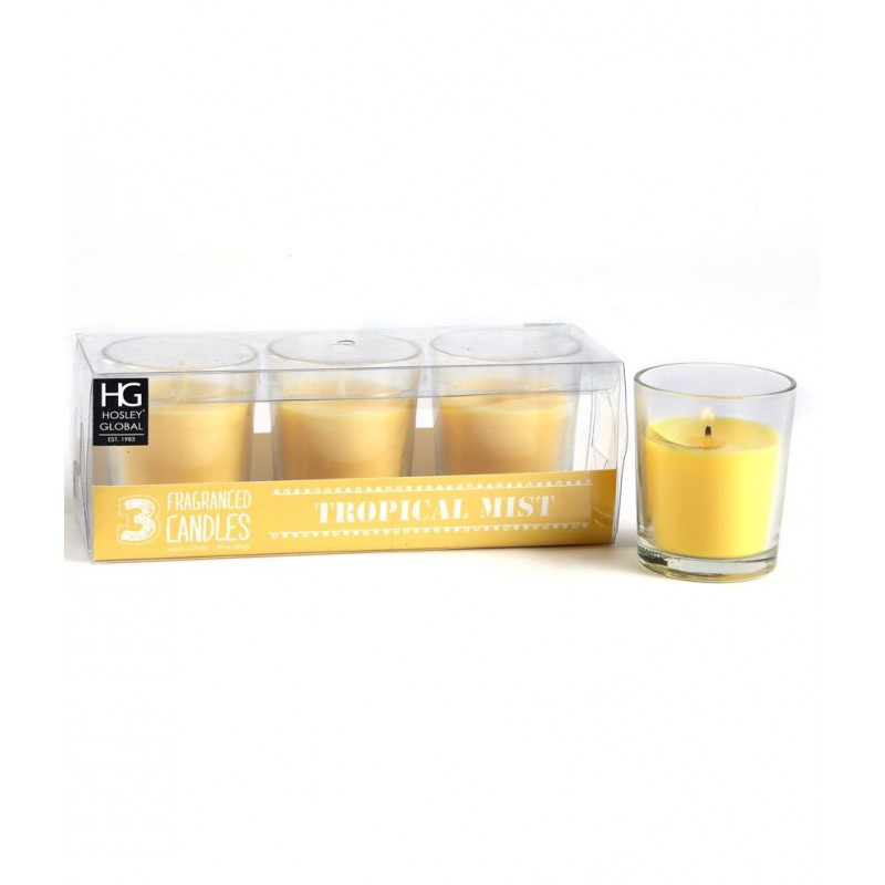 Hosley Yellow Set Of 3tropical Mist Glass Candles