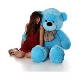 JSGM 5 Feet Taddy Sky Blue Color