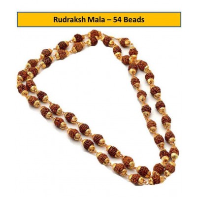 Jewar Mandi Rudraksha Pack of 1