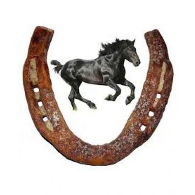 KANISHQ Original Kale Ghod Ki Naal/ Black Horse Shoe for Good Luck And Restrict Bad/Evil Energy