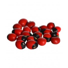 KESAR ZEMS Natural Rakt Lal Gunja - Red Chirmi Beads Goonja Gurivinta Beads -Set Of 101 Pcs For wealth and prosperity (6 x 5 x 2 cm)Red. KESAR ZEMS Natural Rakt Lal Gunja - Red Chirmi Beads Goonja Gurivinta Beads -Set Of 101 Pcs For wealth and prosperity (6 x 5 x 2 cm)Red.