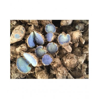 Kapebonavista Kali Haldi (Blue and Black) 3 Pieces Raw Herbs 1 no.s Pack Of 1